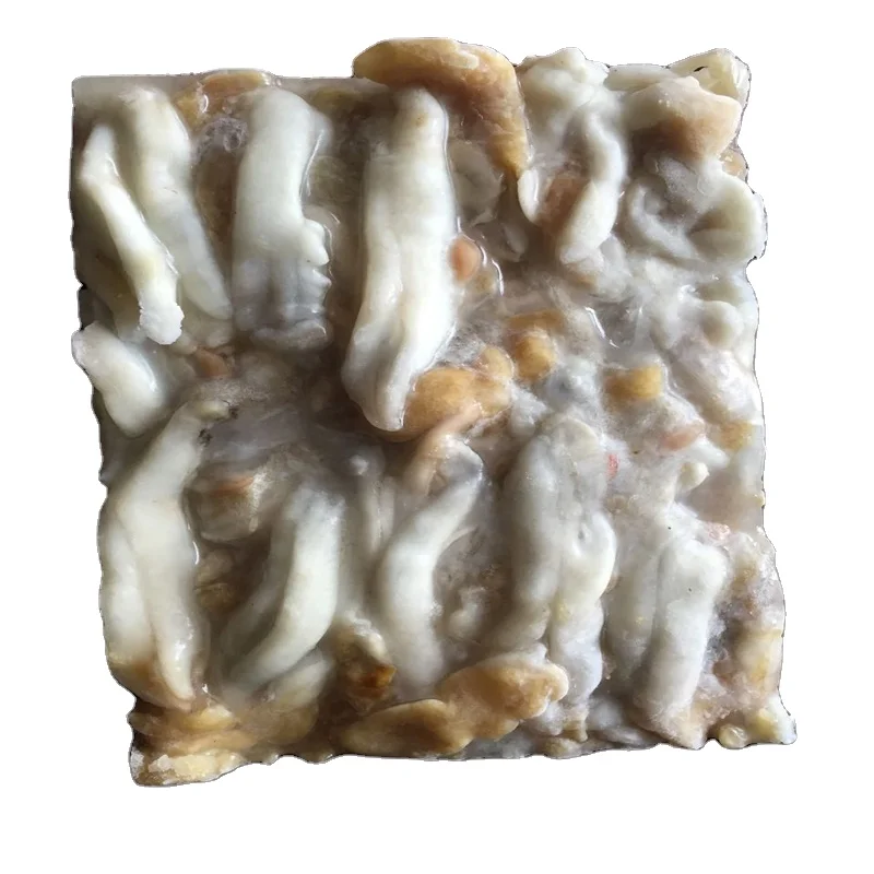Best Seller High Quality Frozen sea baby wholesale seafood frozen squid roe raw material block in stock