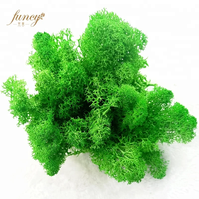 
2019 Hot Factory Wholesale Luxury Office Decoration Green Real Natural Art Frame Panel Stabilize Reindeer Wall moss stabilized 