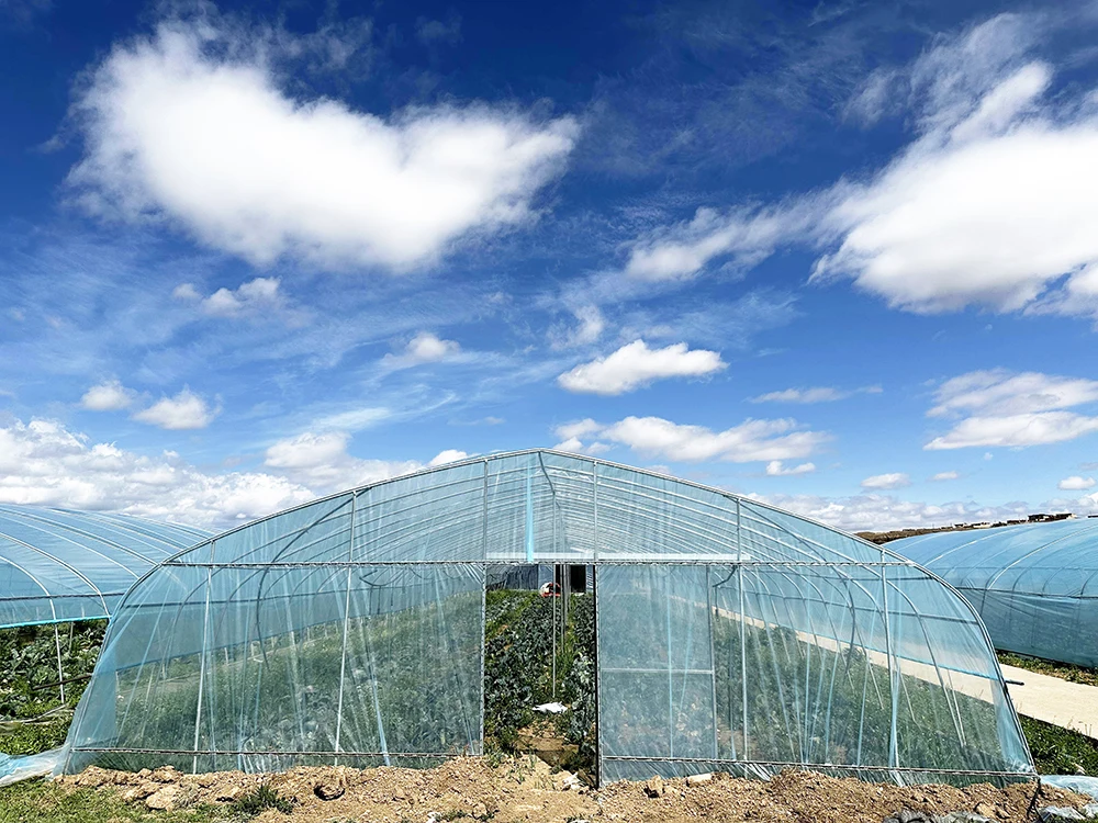 Baolida Plastic Film Green House Metal Hotehosue Frame Tunnel With Plastic Covering