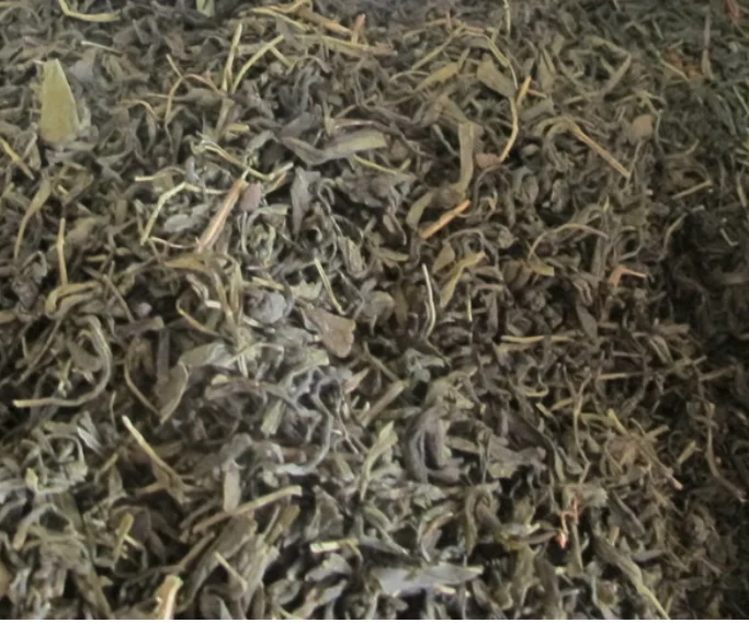 Yinxing Ginkgo Frying Leaf Cheap Price Green Color Fried Ginkgo Biloba Dried Leaves for Herbal Tea
