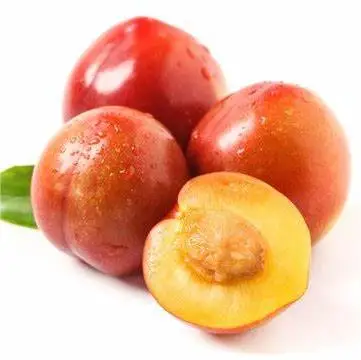 Delicious High Quality Fresh Organic Yellow Flesh Plums Premium 100% Natural