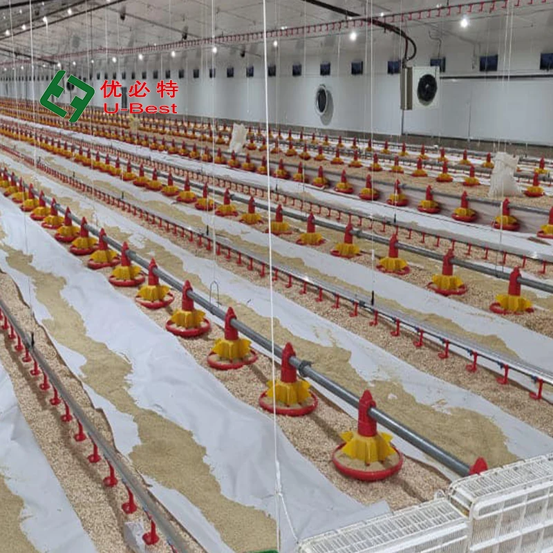 2024 New Type EC Poultry Farming Equipment With Automatic Feeder and Drinker System