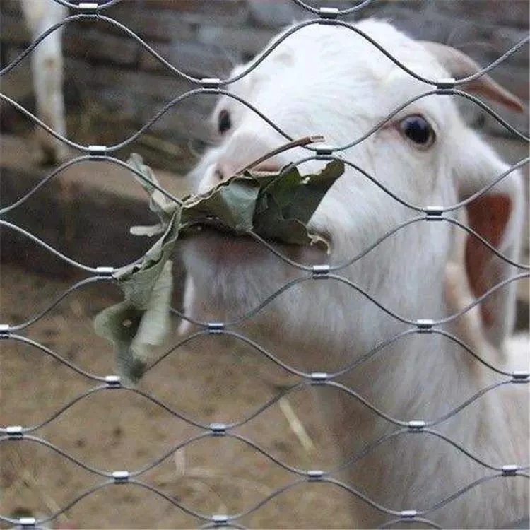 Проволочная сетка из нержавеющей стали пищевого класса, сетка с зажимом, протектор сетки из нержавеющей проволоки, сетка 7x19 3/32