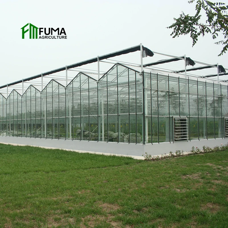 FM prefab tomato planting glass green house agricultural mushroom used greenhouse cooling system parts accessories for sale