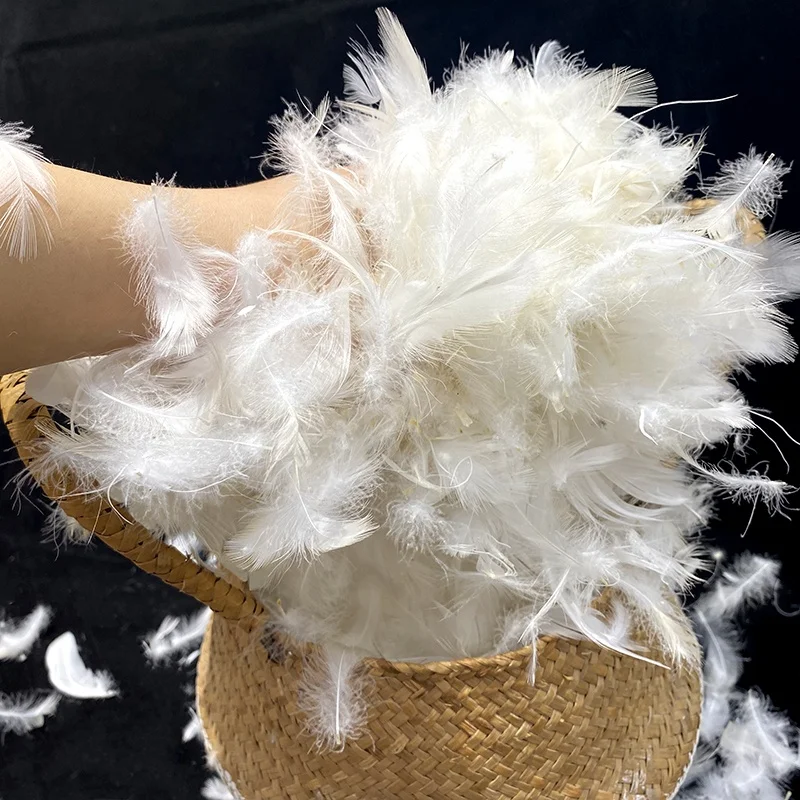 Multi-channel Washing Process to Wash Pure White Natural White Duck  Feather for Cheap Sale