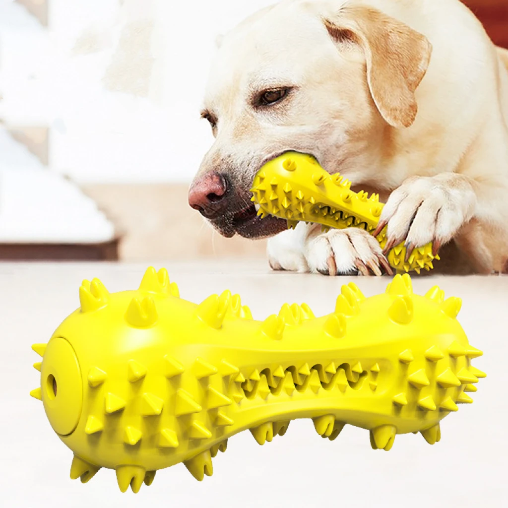 Original factory source   Squeaky dog toothbrush   Chew toy  Squeaky dog toy  Durable tear-resistant toy  Squeaky dog toothbrush