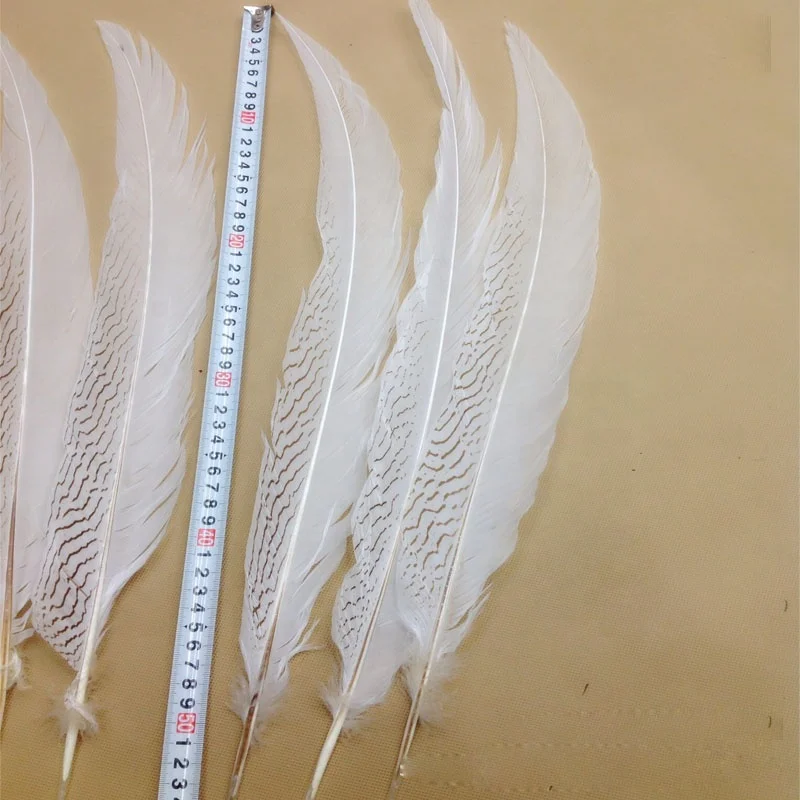 35-40cm silver pheasant tail