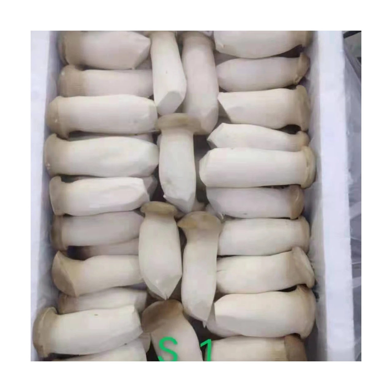 High Quality Material Edible Fungi Fresh King Oyster Mushrooms For Sale