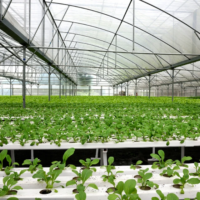 Agricultural greenhouse hydroponics shelves system indoor nft pipe gully for Lettuce high quality PVC Tube