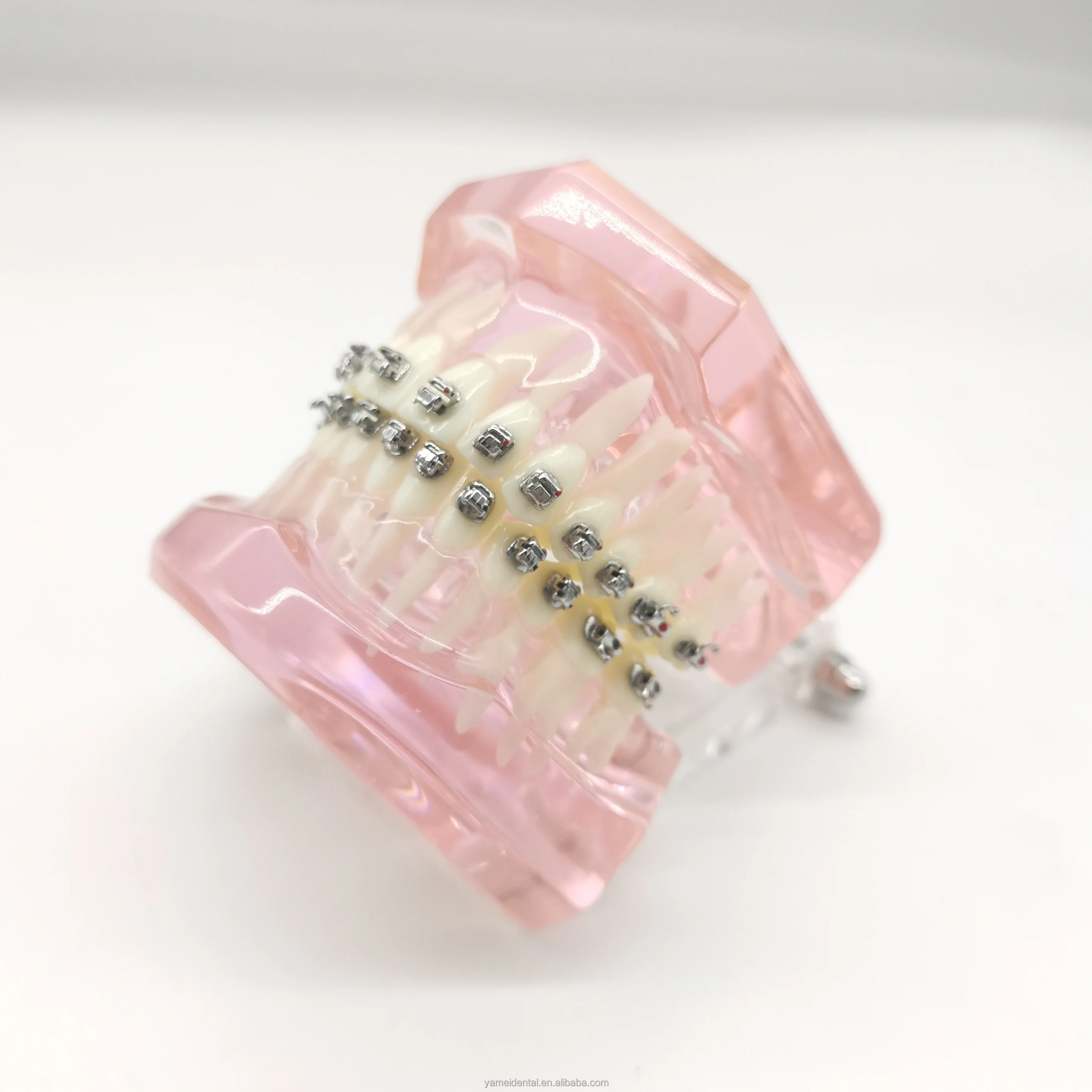 Yamei Orthodontic Dental Product Standard Dental Bracket Braces Orthodontic Metal Plastic Box CE Youcera Dental Milling Machine