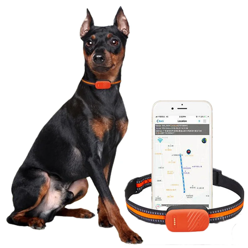 Водонепроницаемый GSM GPRS Wifi 4G GPS точный локатор отслеживающий ошейник устройство в режиме реального времени смарт-трекер для собаки кошки