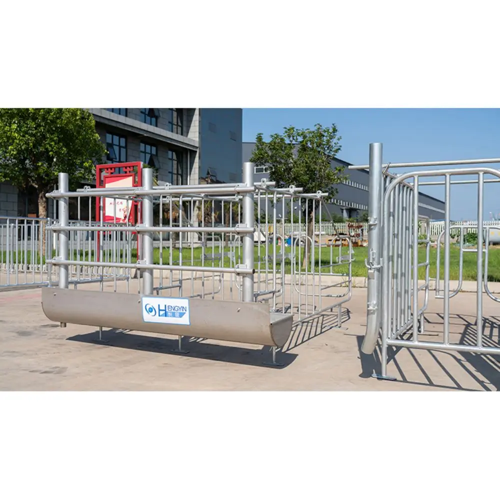 Chinese factory wholesale gestation crates for pigs animal cage pig farm project pig cage