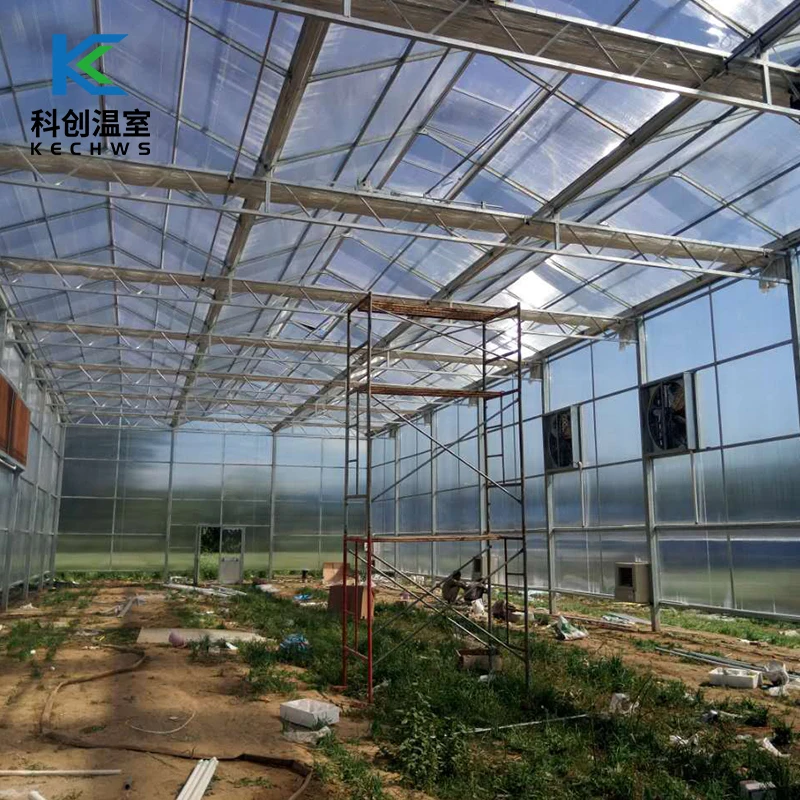 High Quality Low Price Film Energy Saving Solar Greenhouse