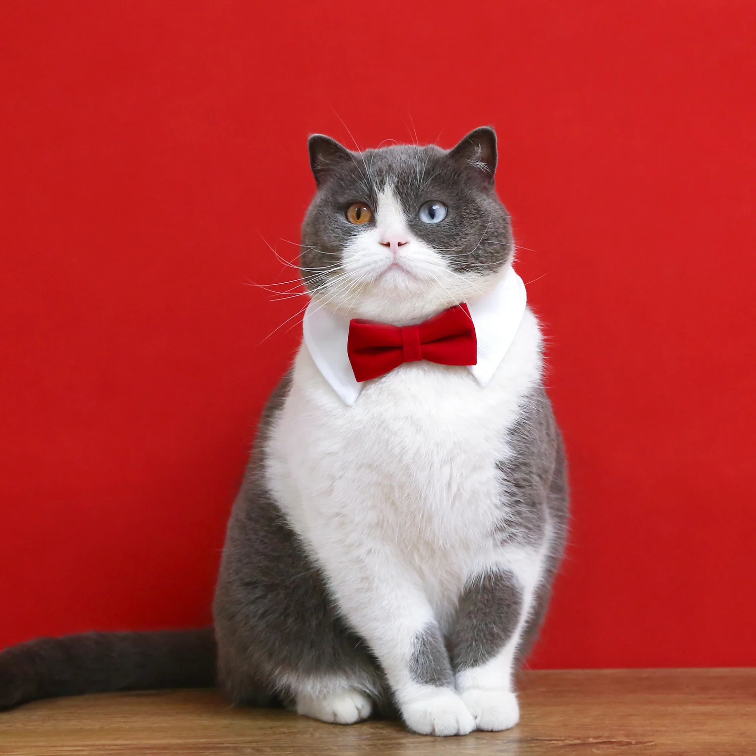 LM0220G Pet Velvet Necktie Cat dog collar Dog butterfly wedding bow tie