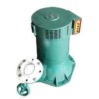 High Efficiency 50/60Hz Hydraulic Generator 3-50kw Water Turbine with AVR