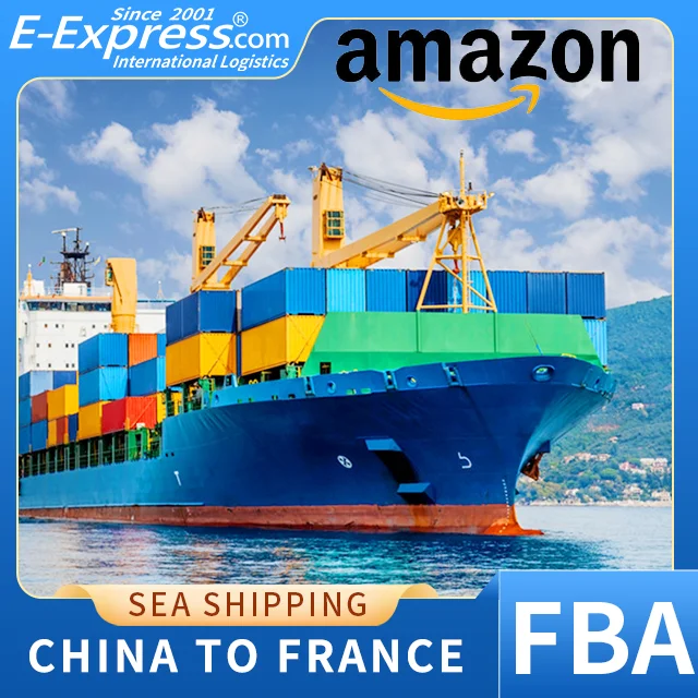 Excellent Ocean Shipping FBA Service From China To France Amazon By DDP With Good Price