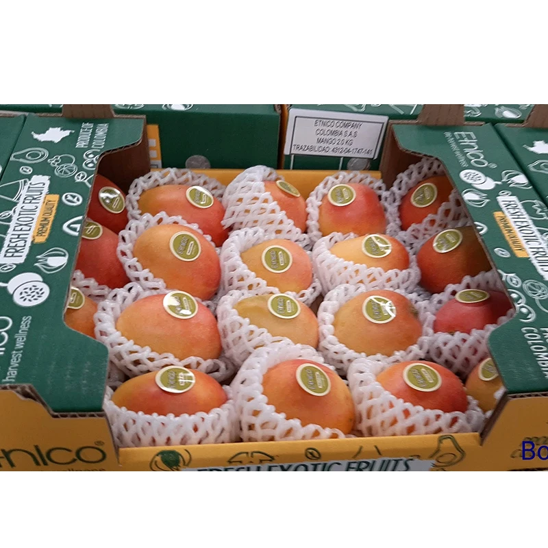 Fresh Fruit Fresh Exotic Fruit Baby Mango In Wholesale