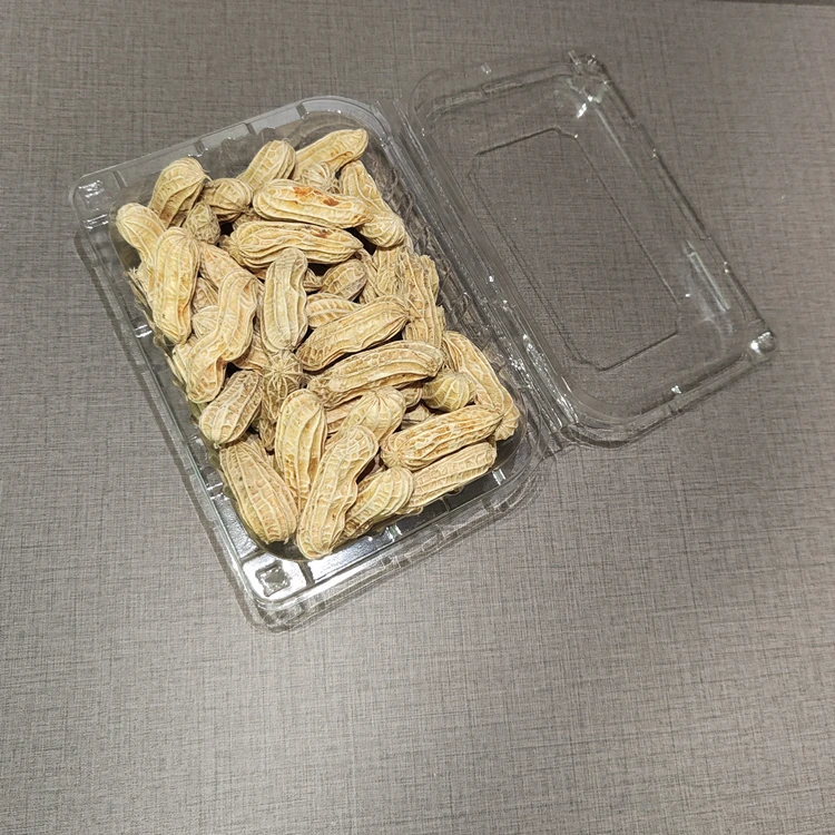 Disposable Clamshell Packaging Peanut Fruits Clear PET Plastic Box Blister Clamshell Container
