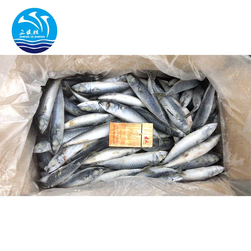 Компания морепродуктов, замороженная скумбрия, морская рыба, цена