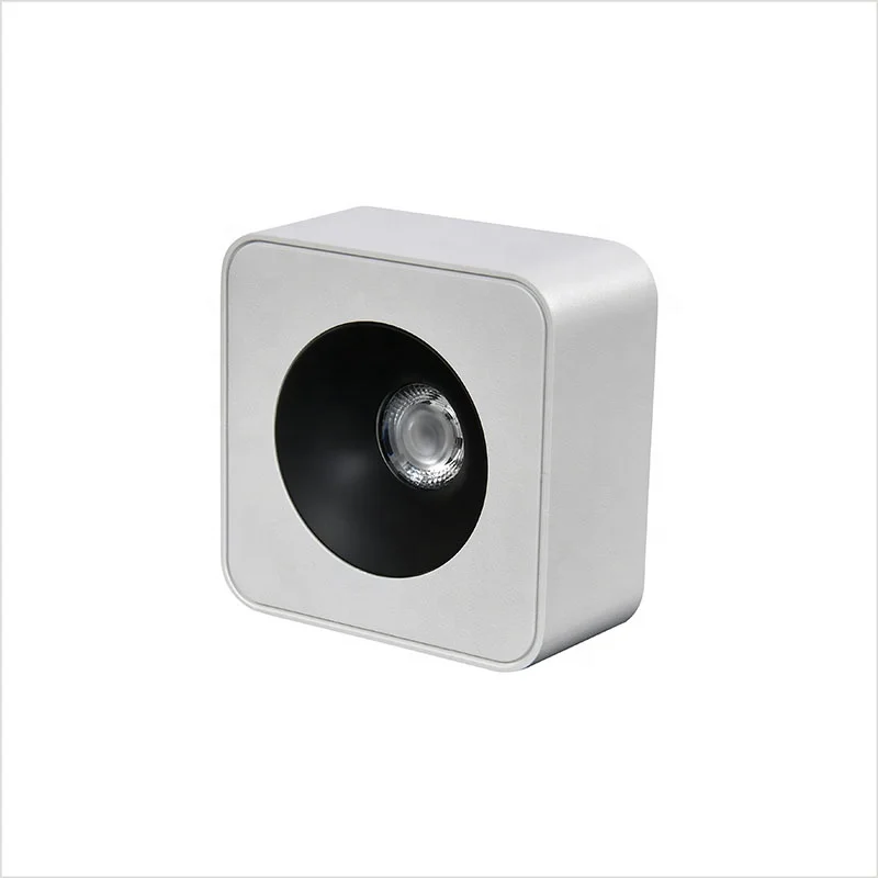 Surface mounted downlight double square cob led spotlight 12W ultrathin ceiling light
