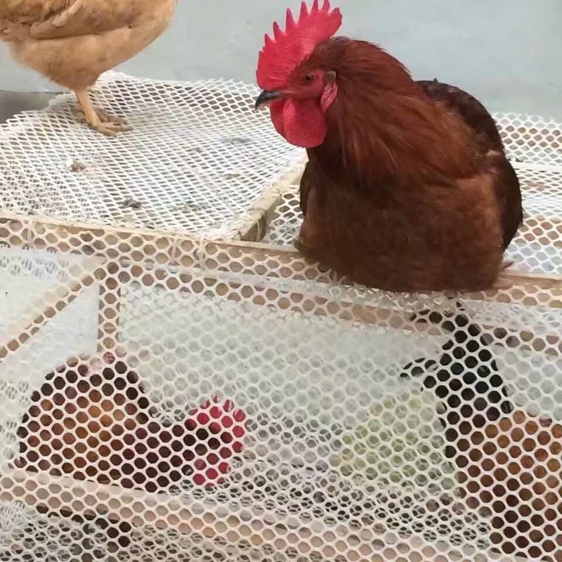 cheap price Geogrid mesh PP PE plastic flat mesh/extruded plastic flat plain netting/extruded plastic mesh/net for agriculture