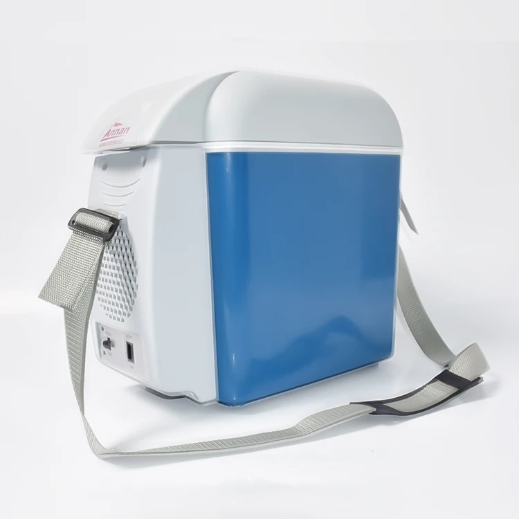 Elegant shape selling well all over the world mini refrigerator for car