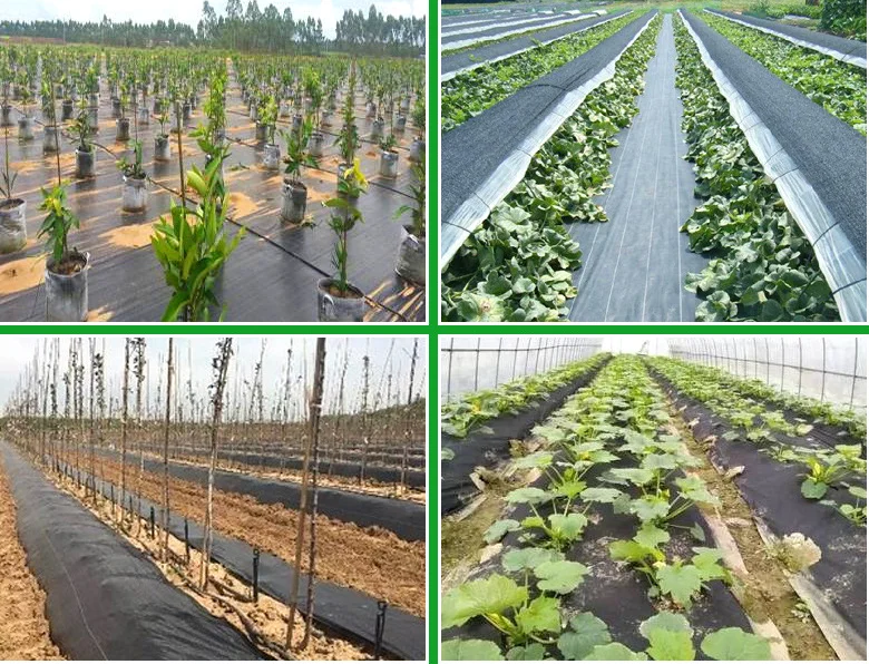 weeding cloth weed fabric control agricultural pp anti grass cloth anti weed mat with uv protection
