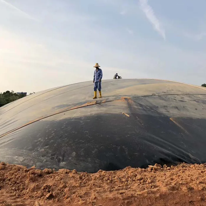 Cheap price UV Resistant High Tensile 1mm 1.5mm 2mm Hdpe Geomembrane for Biogas digester landfill
