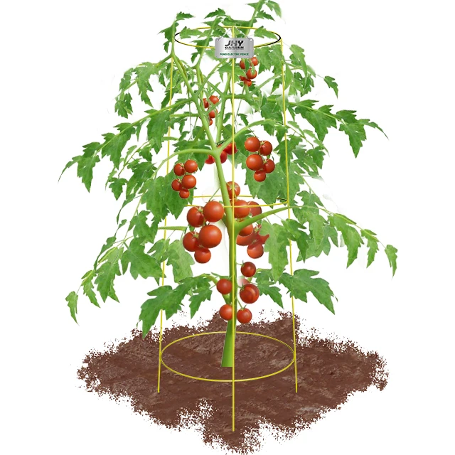 Маленькая клетка для томатов, тяжелые садовые решетки для томатов, горшки для поддержки, для альпинизма на открытом воздухе