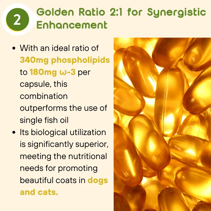 Pet Health Care Supplement Fish Oil Boost Immune System Promotes Healthy Skin And Coat Epa Dha Fish Oil Capsule For Dog Cats