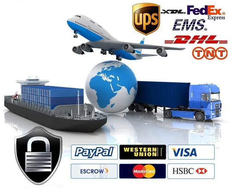 New Arrival Hoodie Pullover Hollow Out Sweatshirt Womens Long Sleeve Casual Clothing Medium Printed Hooded Long Sleeved Sweater