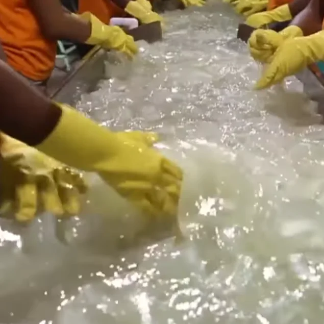 Машина для обработки алоэ вера для линии обработки спаржи с алоэ