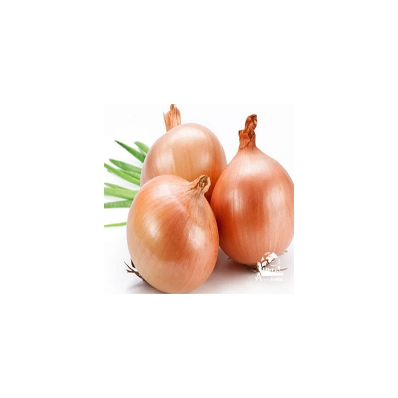 High quality The most popular wholesale Fresh oignons Shallot Peeled Onion Red Yellow White Organic Onion