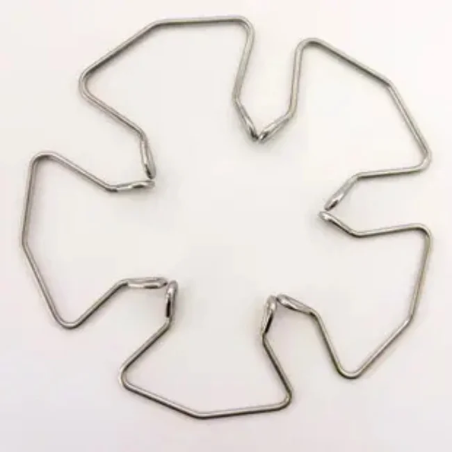 Custom Stainless Steel Wire Forming Bending Springs With Different Shape Wire Form