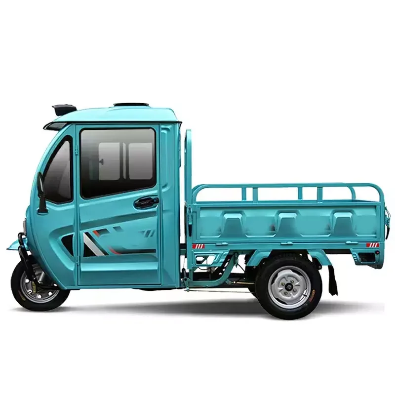 Made in China 2 Seat Electric Car Adult Mini Truck Cargo Tricycle Adult Cheap Delivery Electric Tricycle with Cover