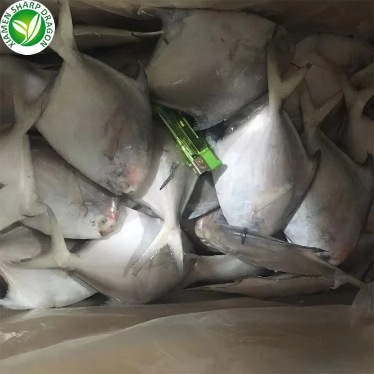 Frozen Fish Chinese Seafoods Fish Pomfret