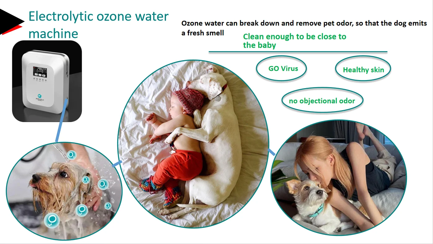 Electrolytic ozone water machine Ozone Water Generator  Ozone Cleaner Household