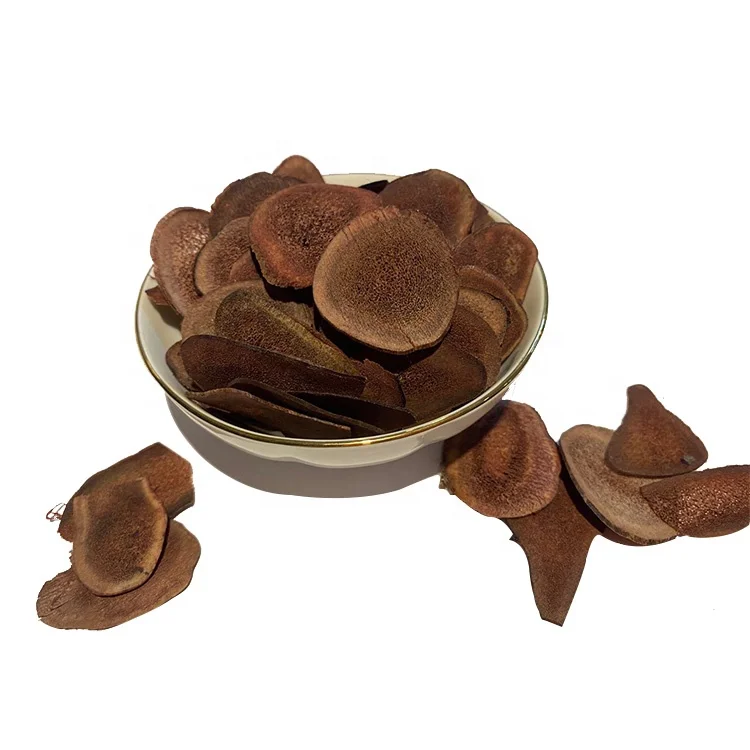 
Wholesale High Quality Fresh Red Deer Antler Made Slices cartialgenous 