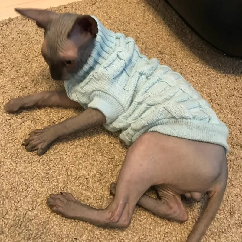 Зимний вязаный свитер для кошек