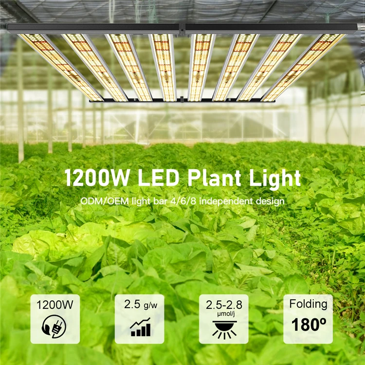 CF Grow 2021 New Arrive T8 Full spectrum Phyto Lamp LED Grow Light For Indoor Plants Flower Hydroponics Grow
