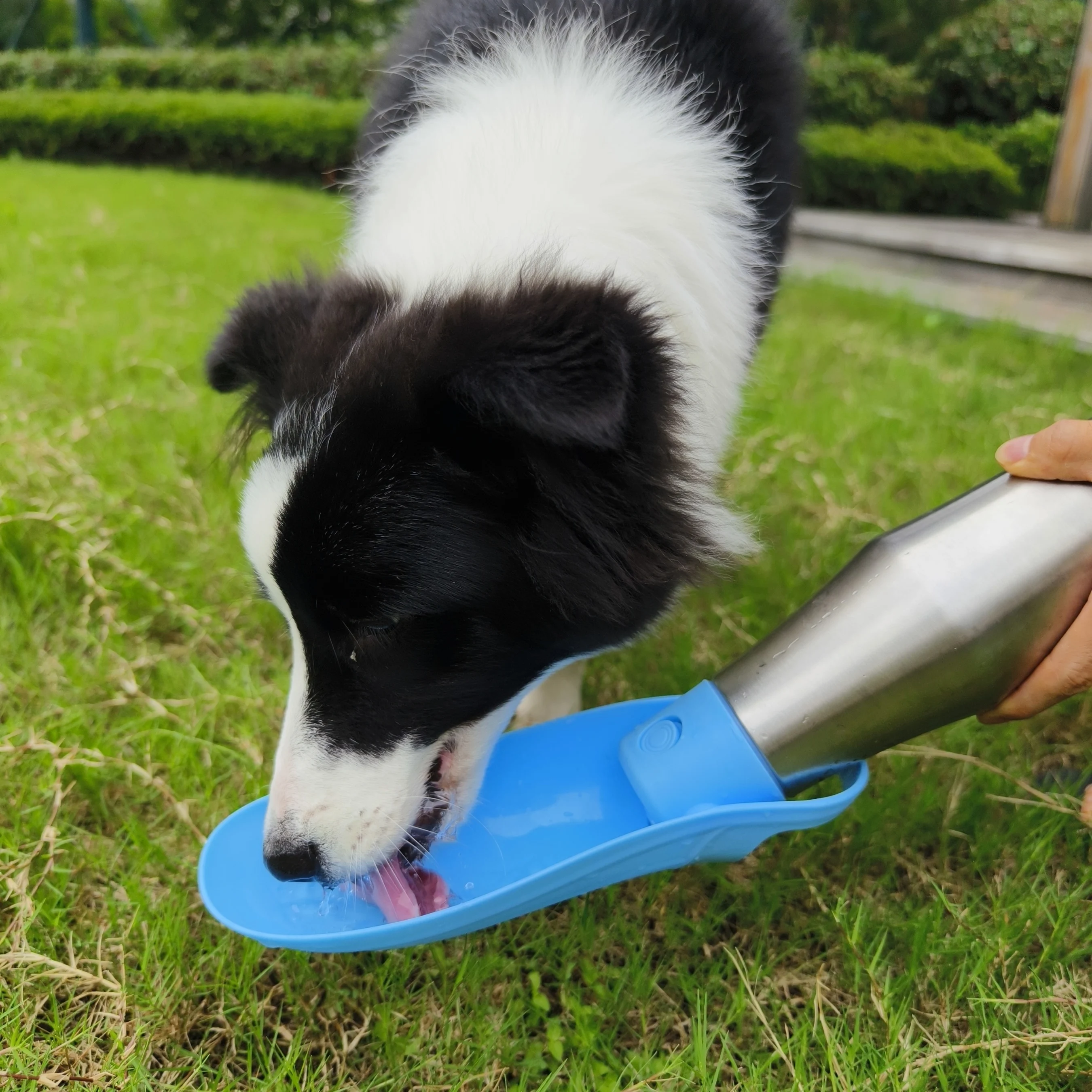 2024 New Hot Sales Customized 304 Stainless Steel 26oz 770ml Pet Water Bottle For Dog Drinking and Feeding Device wholesale