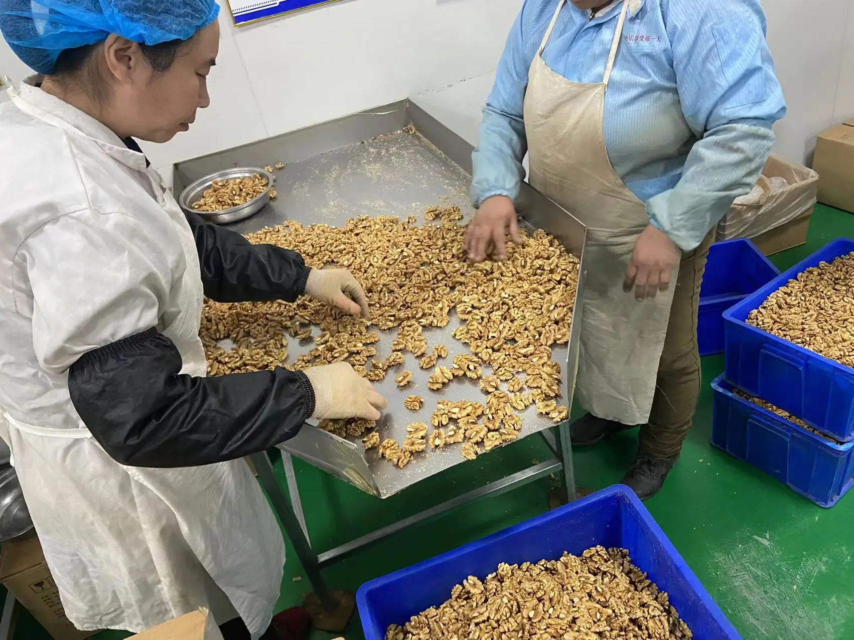 China Xinjiang Raw Thin Skinned Nuts Price Walnut Can Do Jujube Walnut