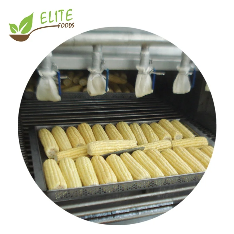 
2020 New Season Frozen IQF Sweet Corn Cob Cuts 