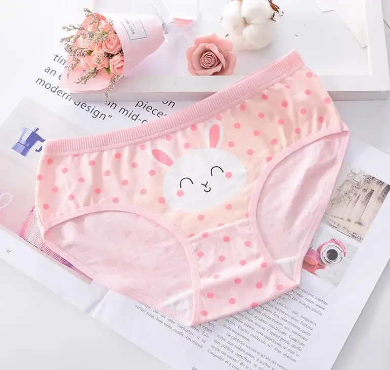 
New 4pcs Teenage Panties Rabbit Underpants Young Girl Briefs Comfortable Cotton Pink Panties 