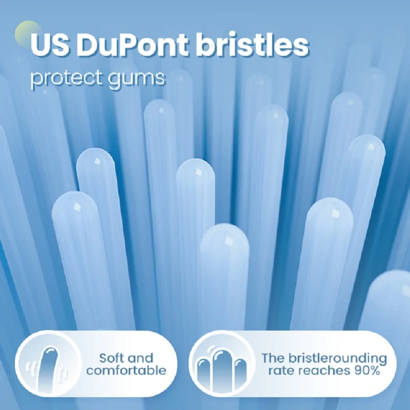 2024 Sonic Travel Type Usb Rechargeable Dupont Heads Electric Toothbrush For Adult