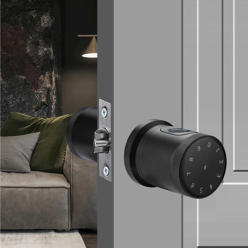 Factory Price Smart Fingerprint Locks Passcode Smart TTlock Bluetooth APP Digital Door Locks Smart Keyless Card Smart Door Lock