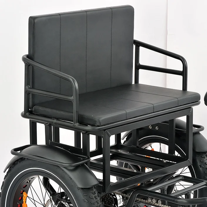 Cargo Tricycle Electric Bike Family 3wheel Electric Bike 2 Person Seat Electric Tricycle With Passenger Seat