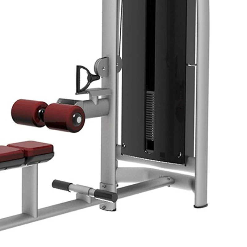 Home & Gym Use Lat Pulldown & Low Row