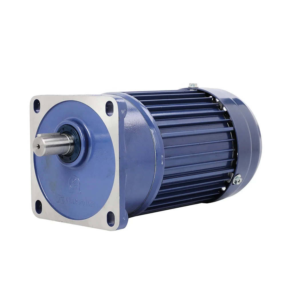 Single Phase 110V/220V 3KW AC Induction Gear Motor With Speed Control Function
