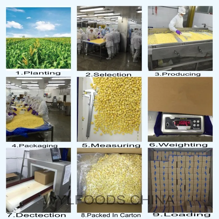 New Crop Top Grade Super Sweet IQF Frozen Sweet Corn Kernels